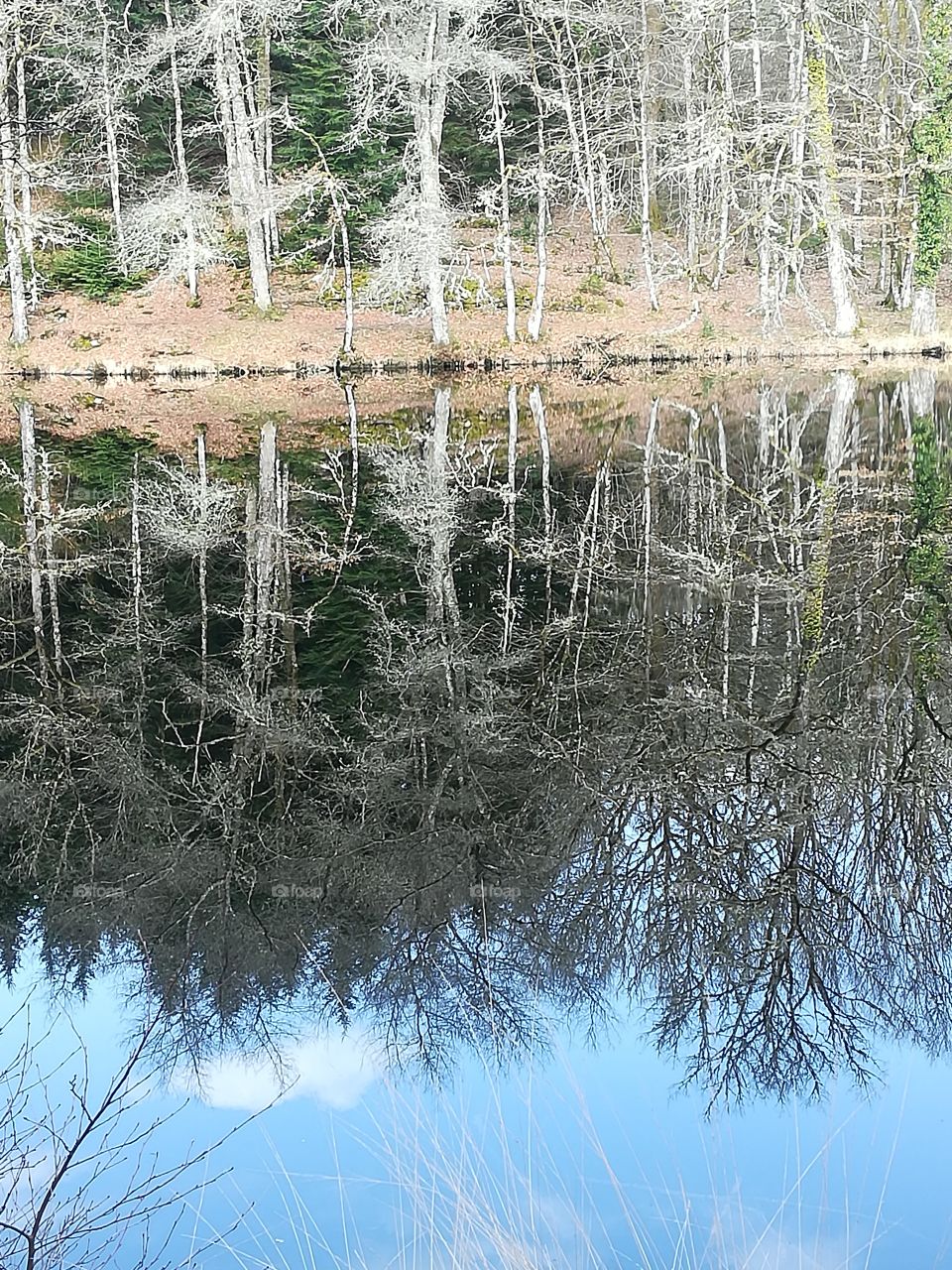 Réflexion and reflection