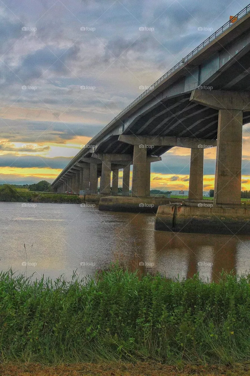 Bridge 