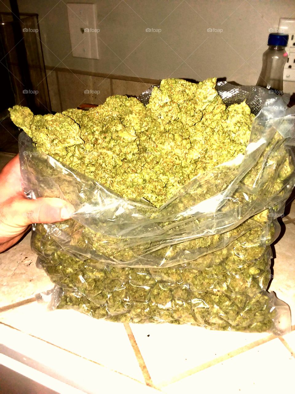 Medicinal Marijuana Herb