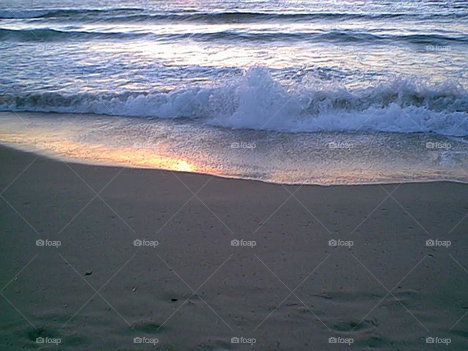 Reflective wave on beech