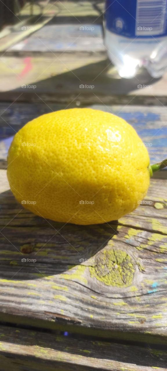 Lemon