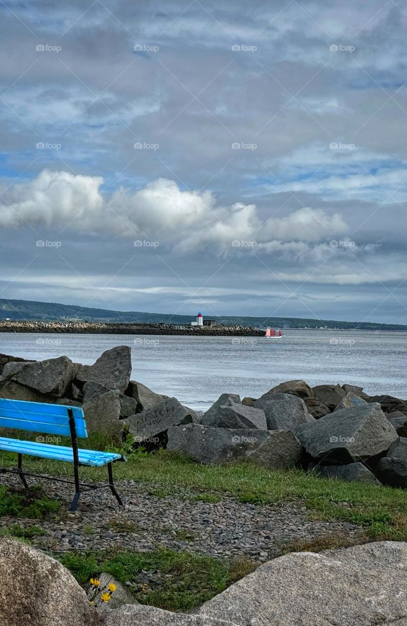 An empty blue bench overlooking the Bay of Fundy