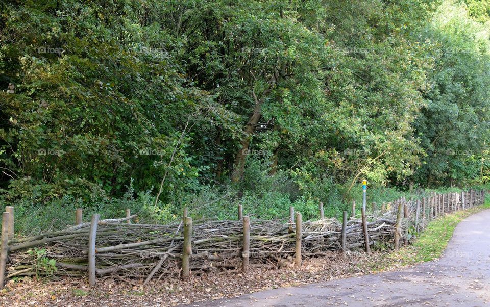 In a park in Antwerp