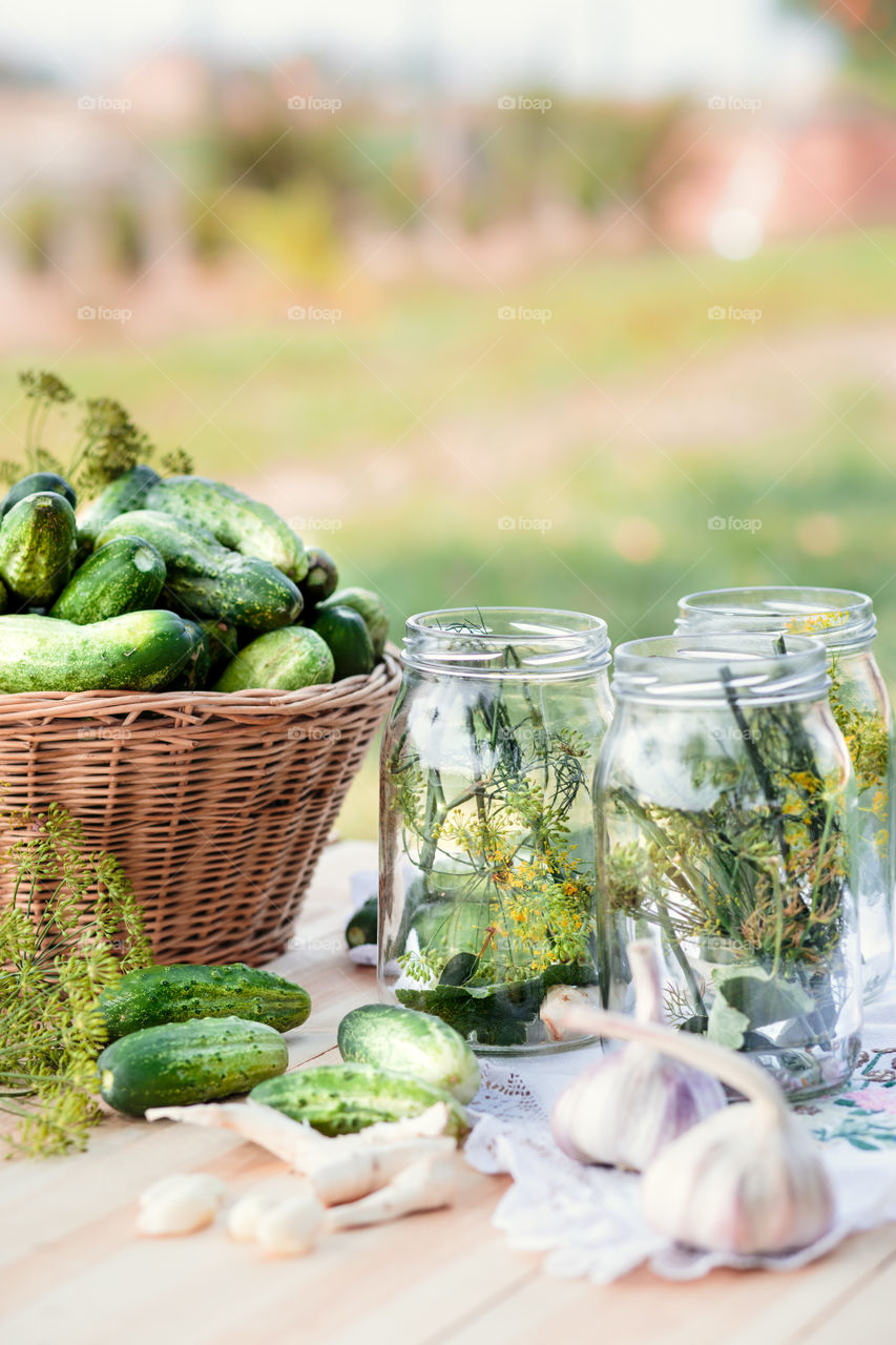 Pickling cucumbers