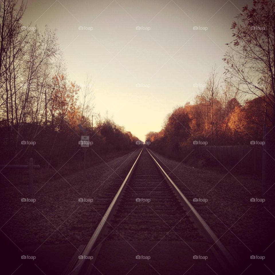 Train tracks 
