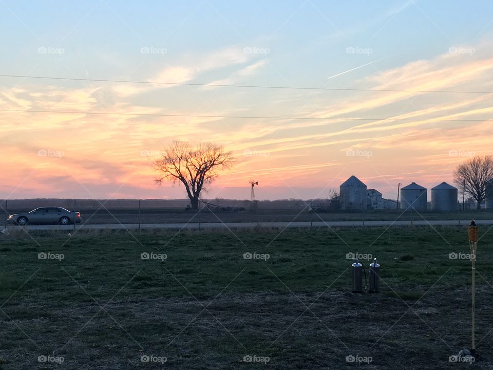 Landscape, No Person, Tree, Dawn, Sunset