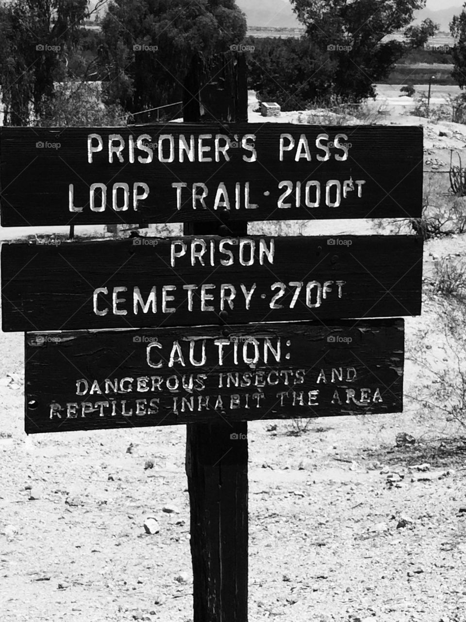 Prisoners Pass