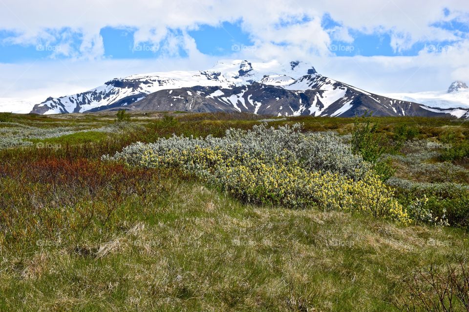 Skaftafell, Iceland . Hiking at Skaftafell National Park in Iceland