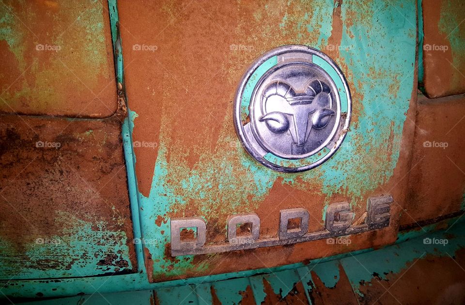 1954 Dodge rams head