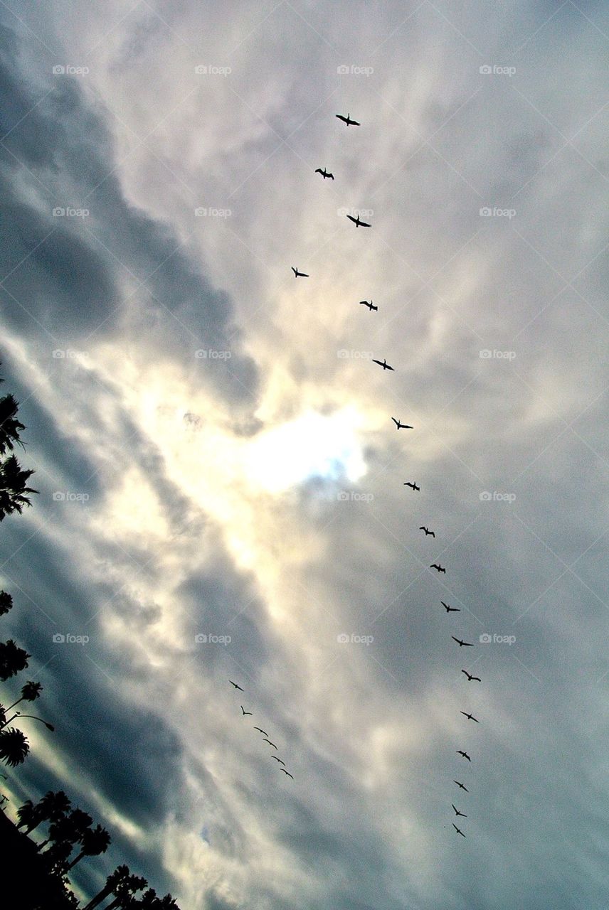 Life Beyond Darkness