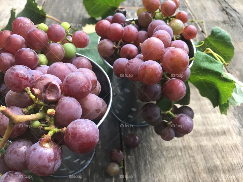 Home grown purple grapes in galvanized buckets