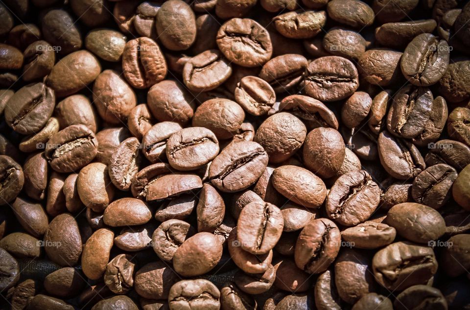 coffee beans