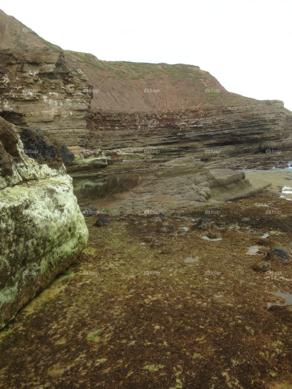 Sea cliffs