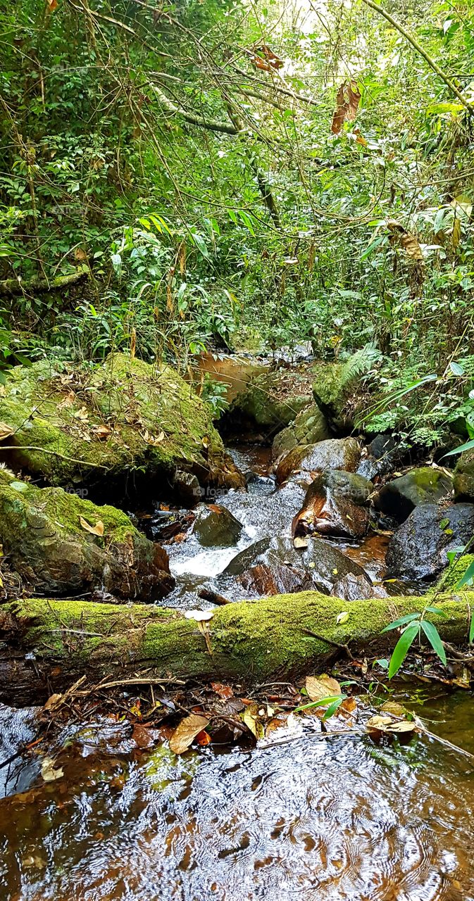 river, cascade,  rio, cascata