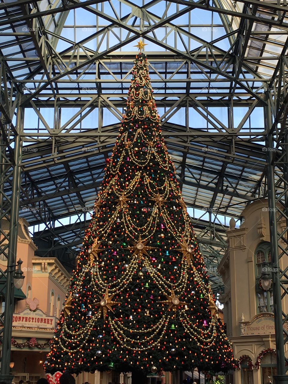 Christmas Tree in Tokyo Disney