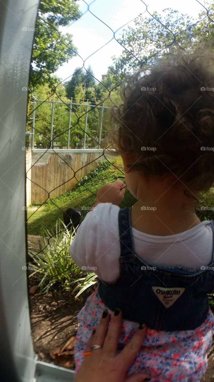 Child, Summer, Nature, Outdoors, Park