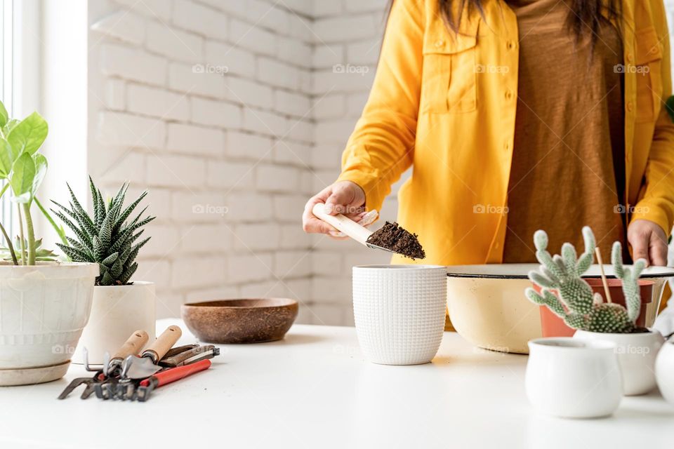 woman planting plants