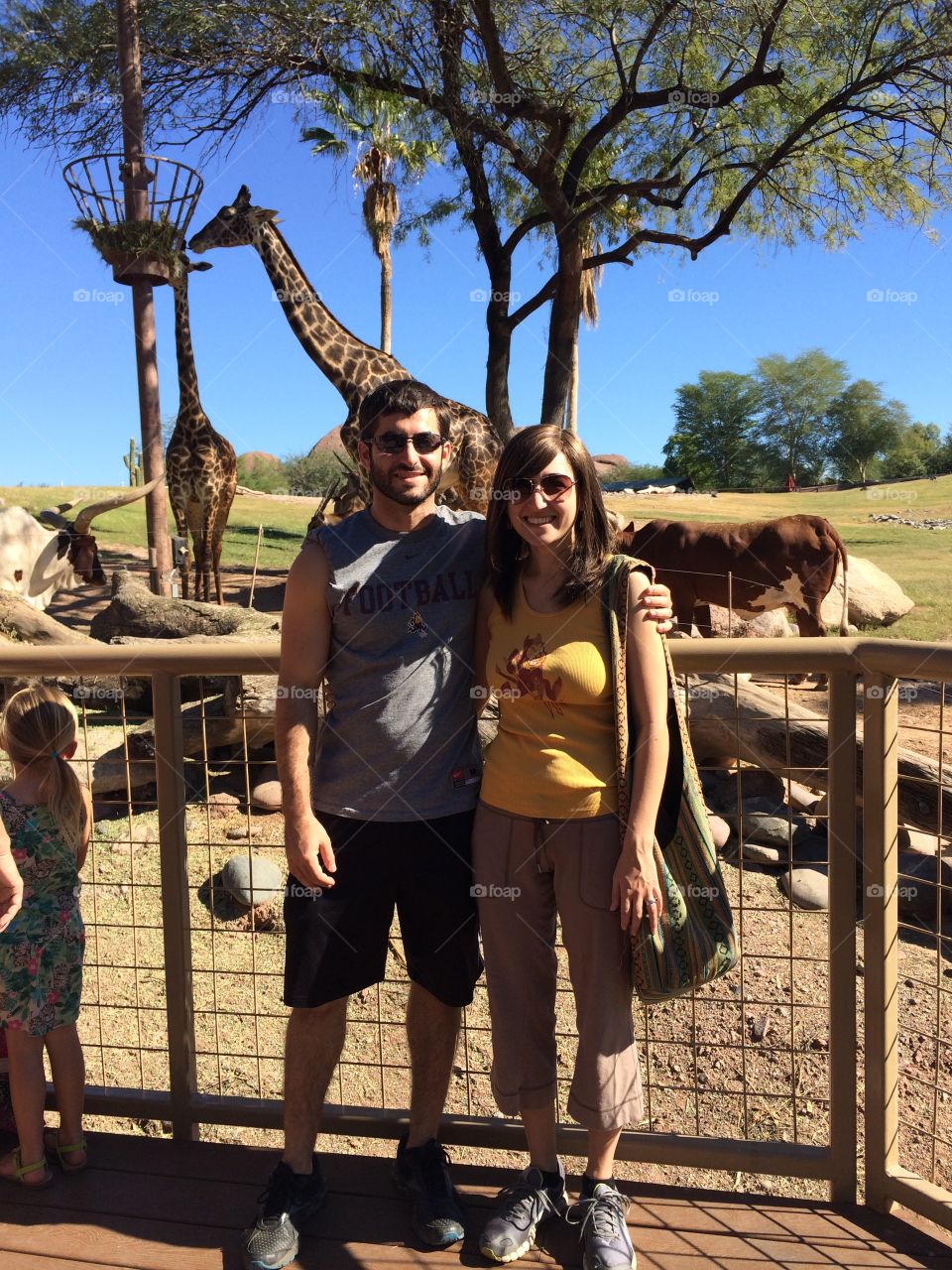 Giraffe couple 