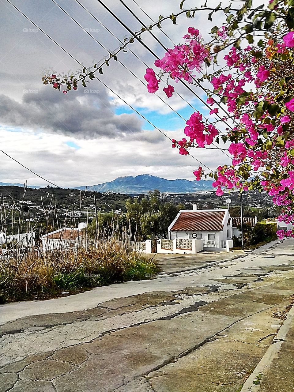 Winter in Andalucia