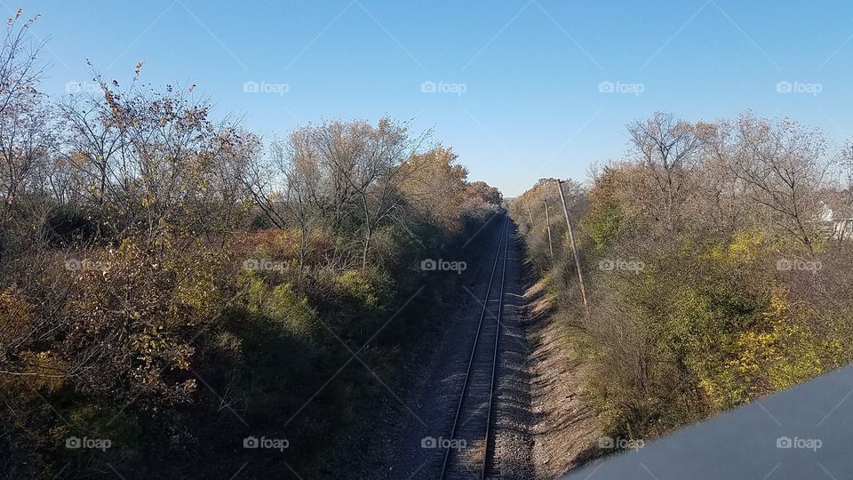 Fall Tracks