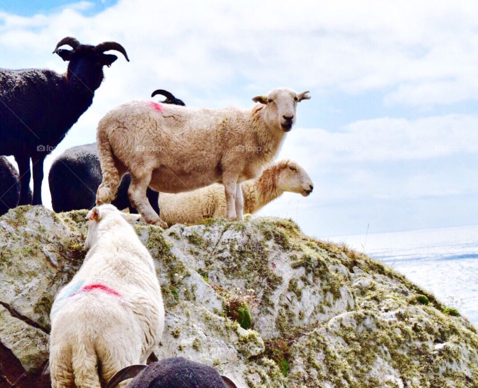 Southstack in wales 