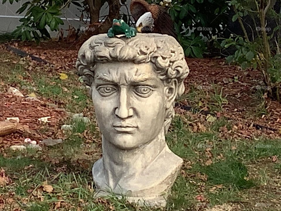 This photo op was irresistible . The expression on the face of this apparent Greek God was priceless. It’s as if ‘he’s’ pondering what and/or if there is something on his head…
