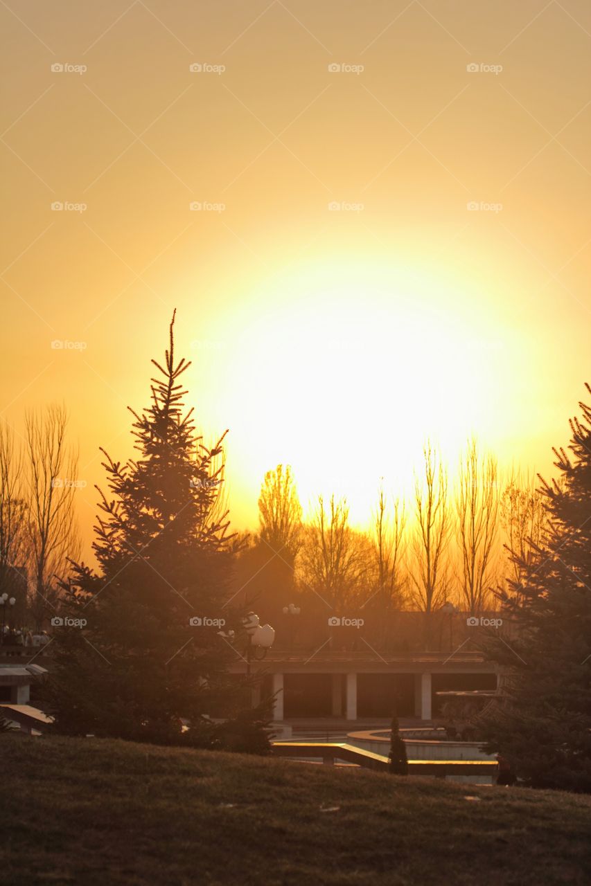 sunset in park of first president