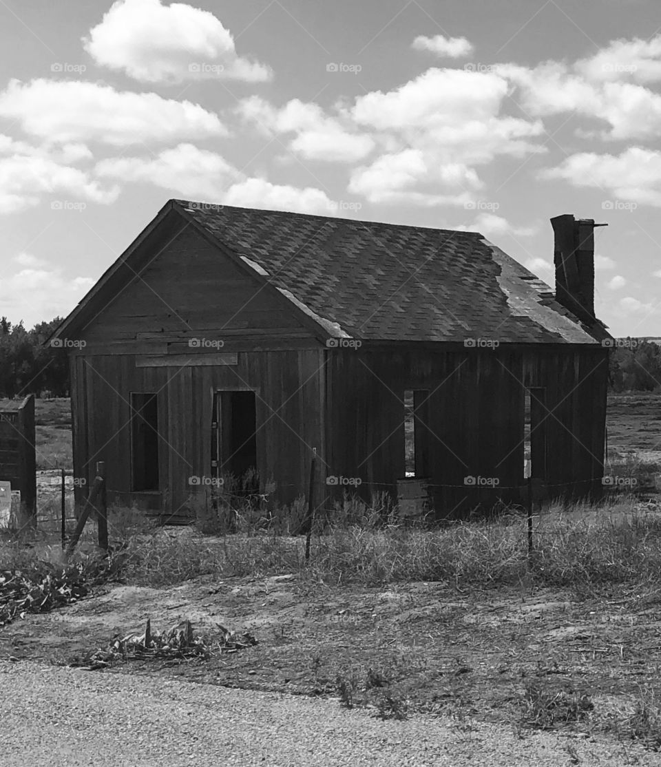 Abandoned homestead 