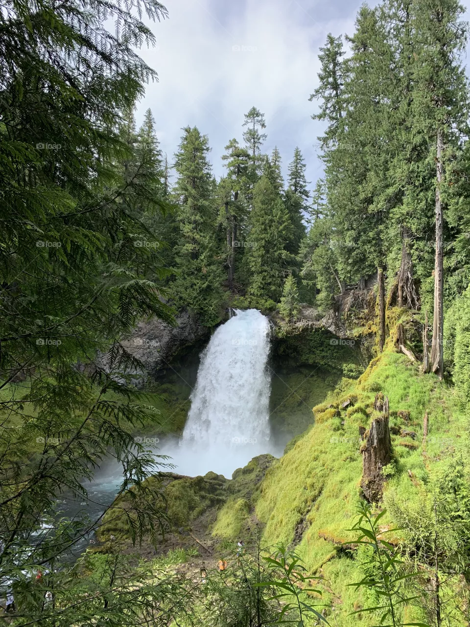 Waterfall in Oregon 