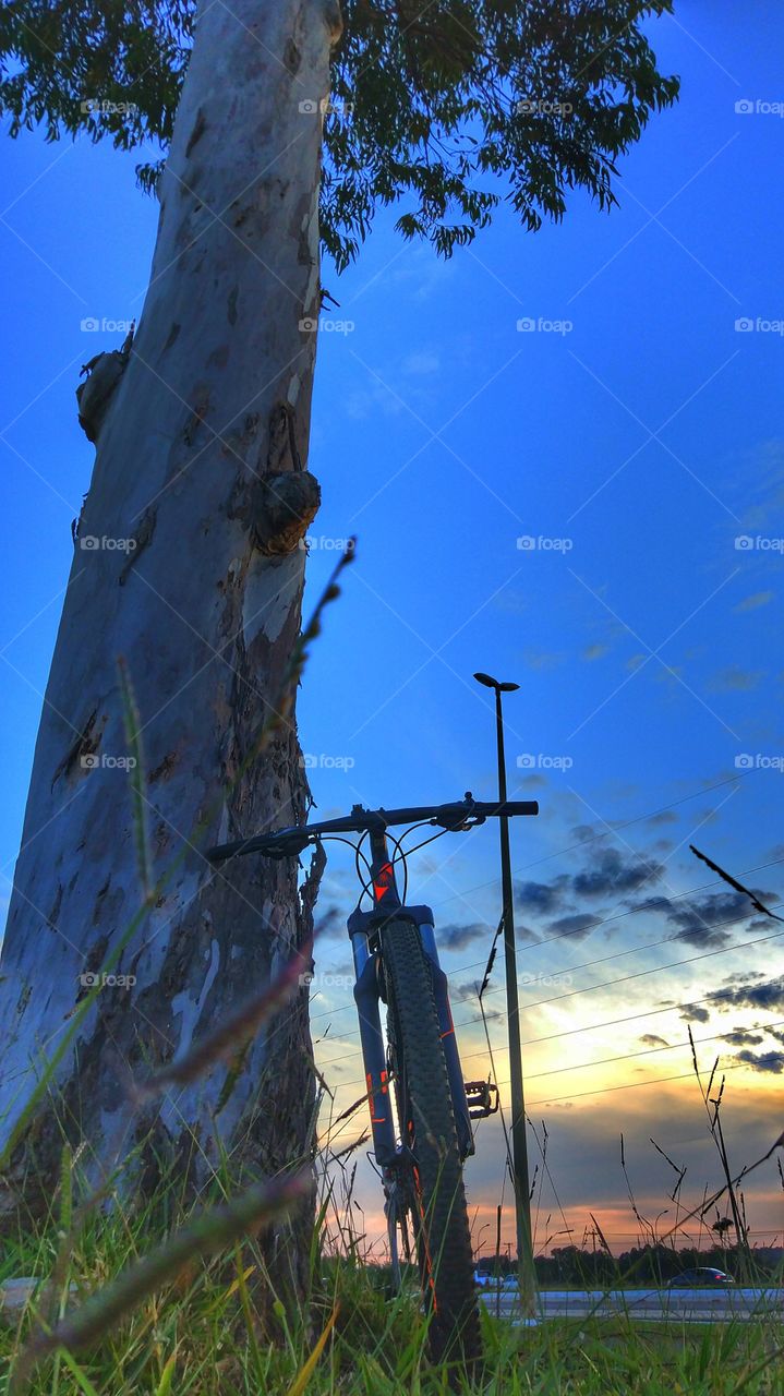 bike pedal bicicleta