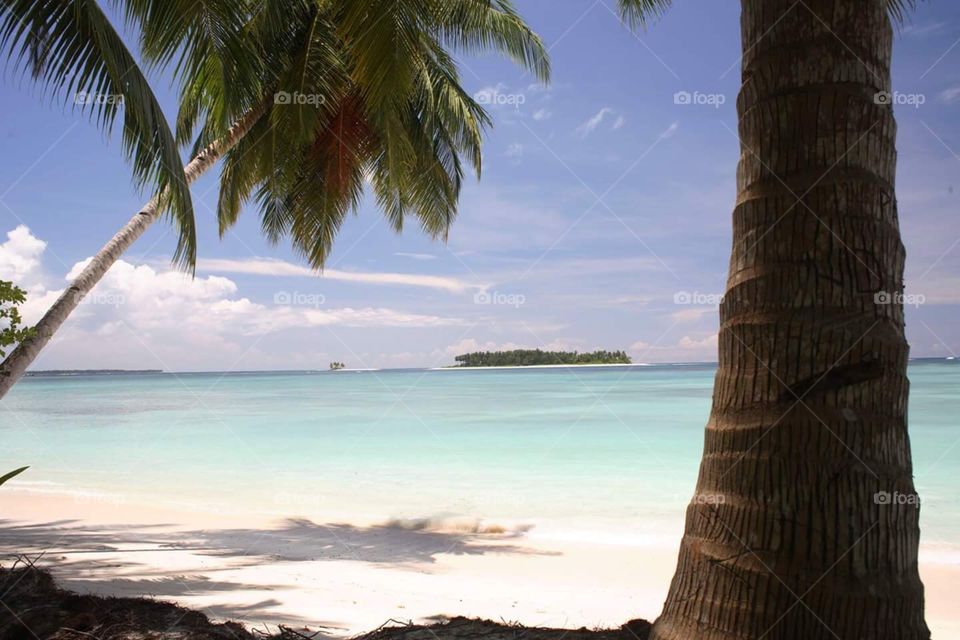 Foreground has palm trees and background has lonesome tropical island. 