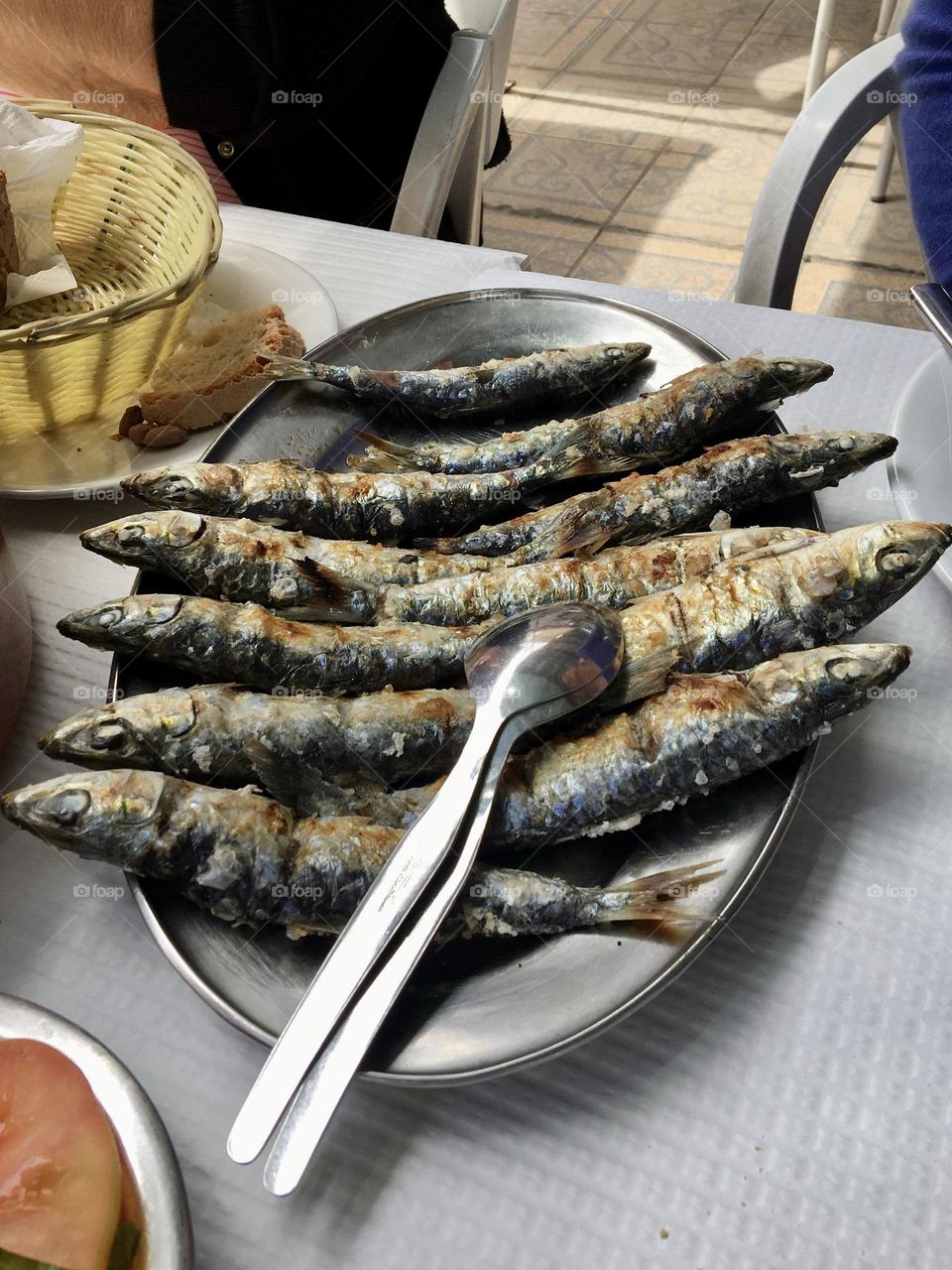 Sardines