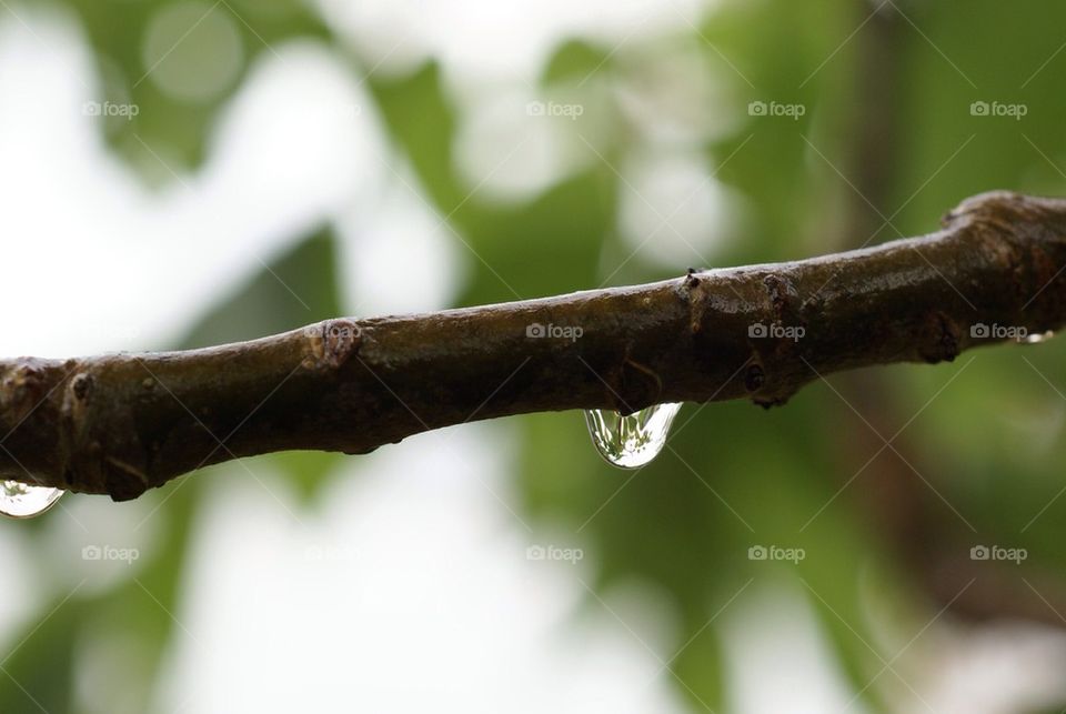 Just one drop