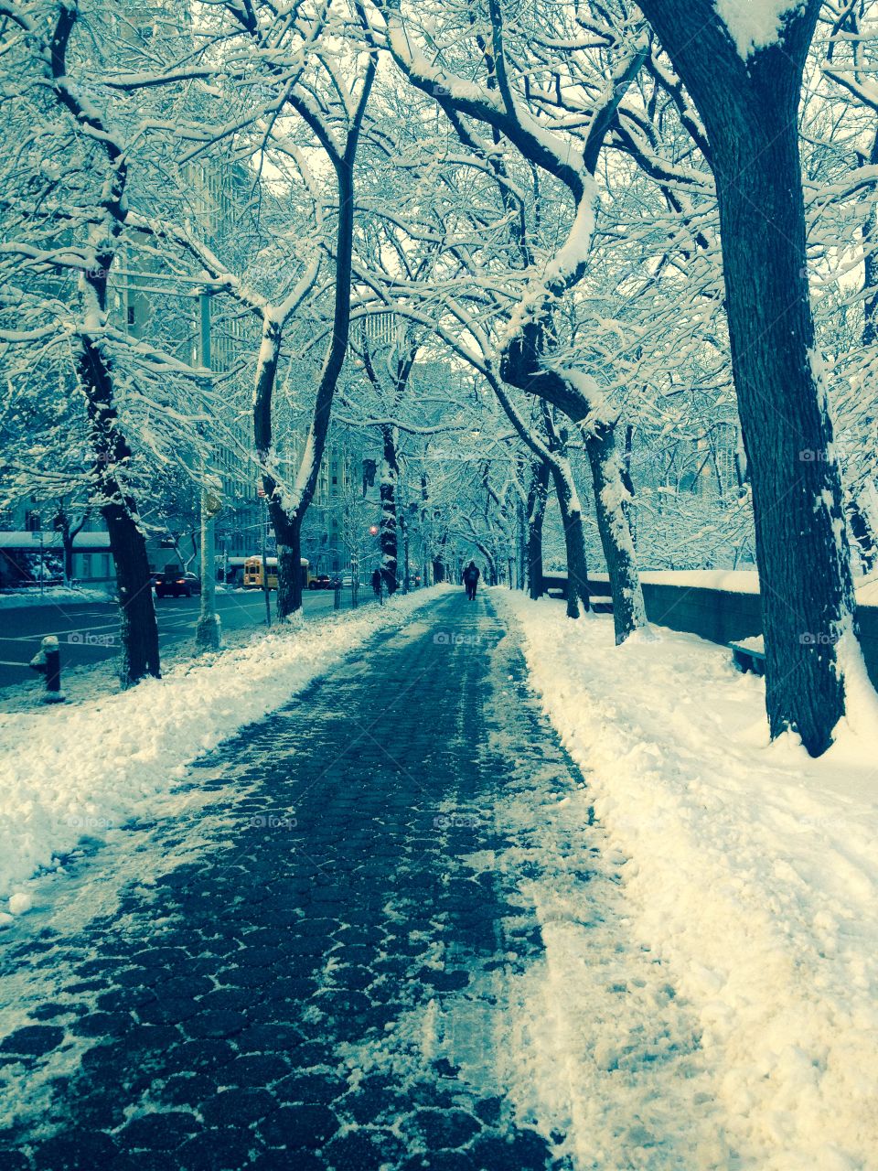 Snowy sidewalk in NYC