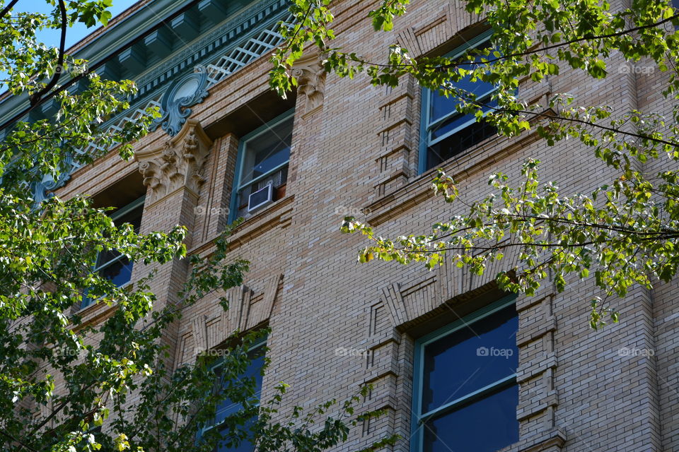 Side of a brick building with ivy