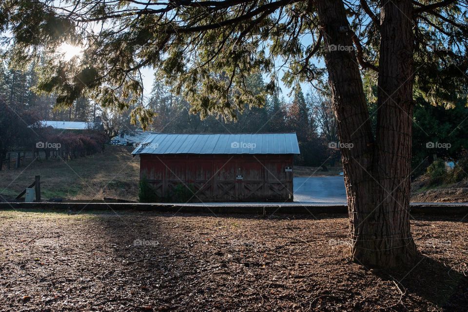 Old Barn