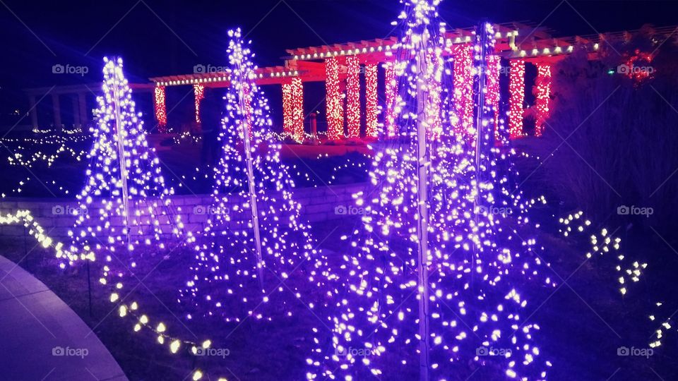 Nicholas Conservatory holiday lights