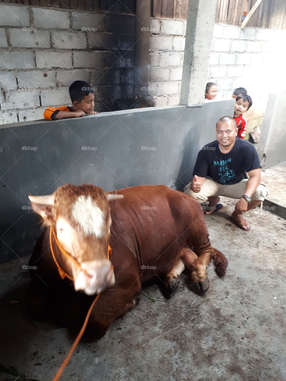 My First Cow