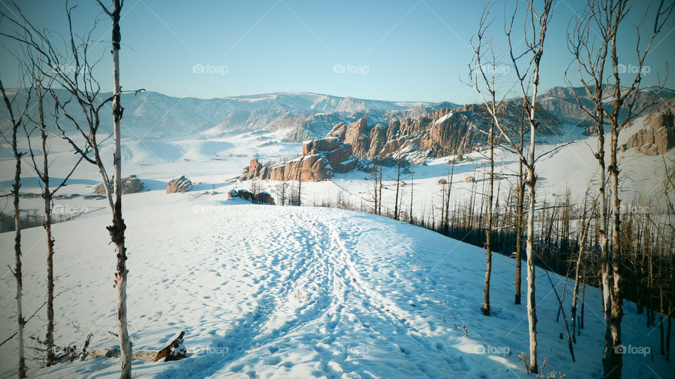 Scenic view of nature in winter