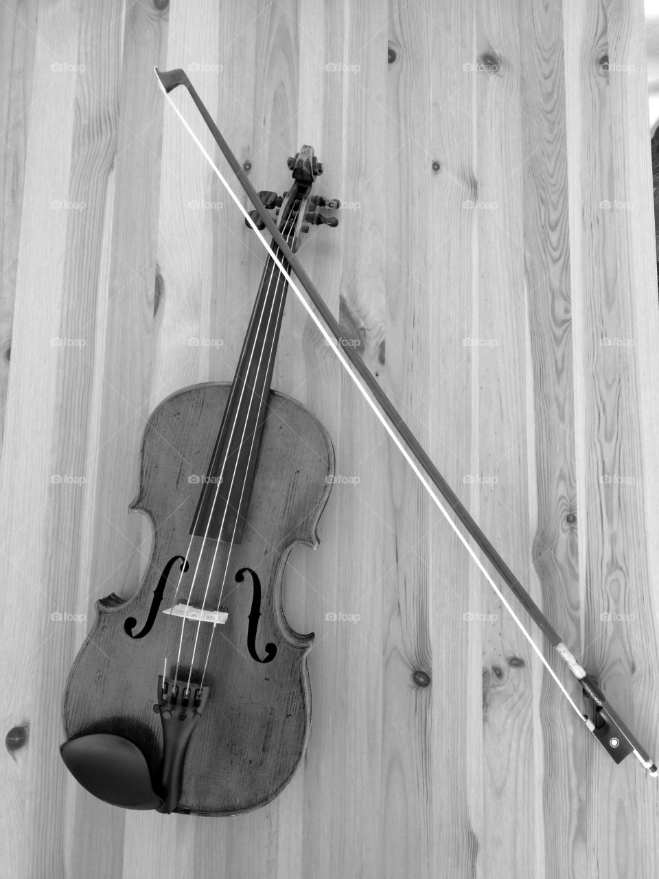 blach and white violin II