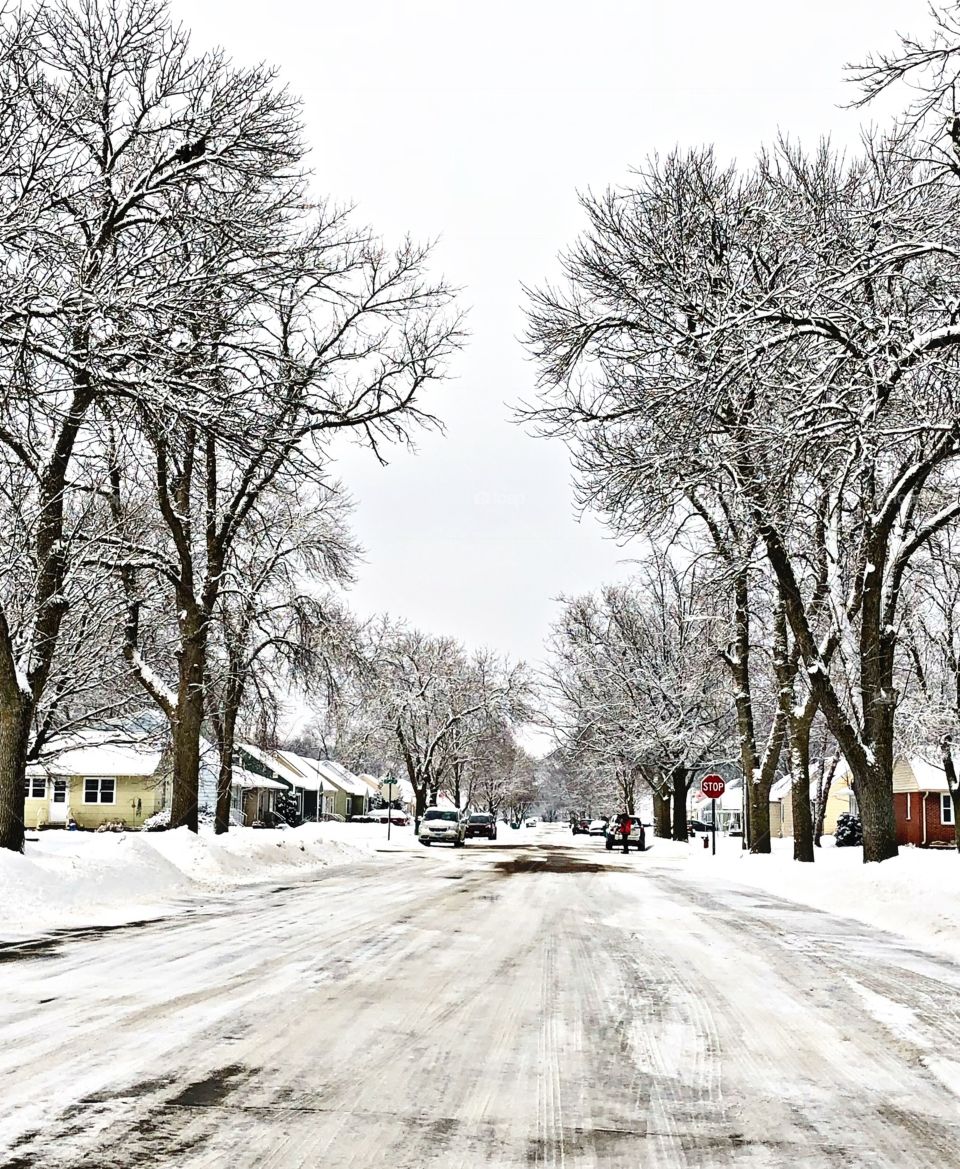 Fresh fallen snow 