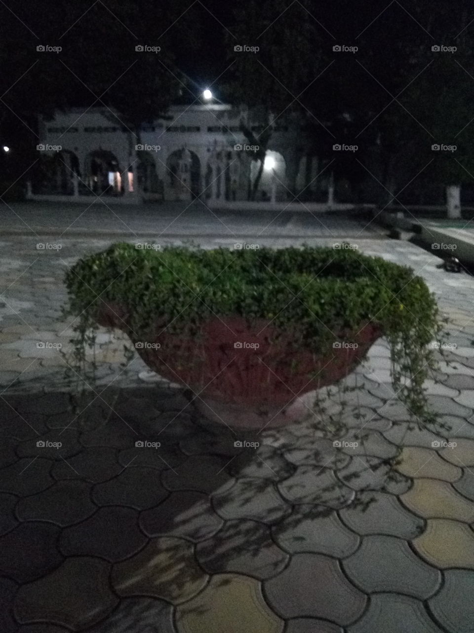 A beautiful big flowerpot keeps at Shree Guruduara Sahab, Bahadurgarh, Patiala. India.
