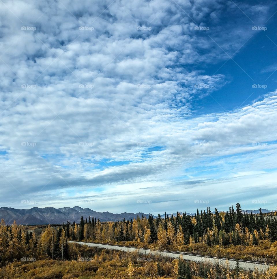 Alaska in the Fall 