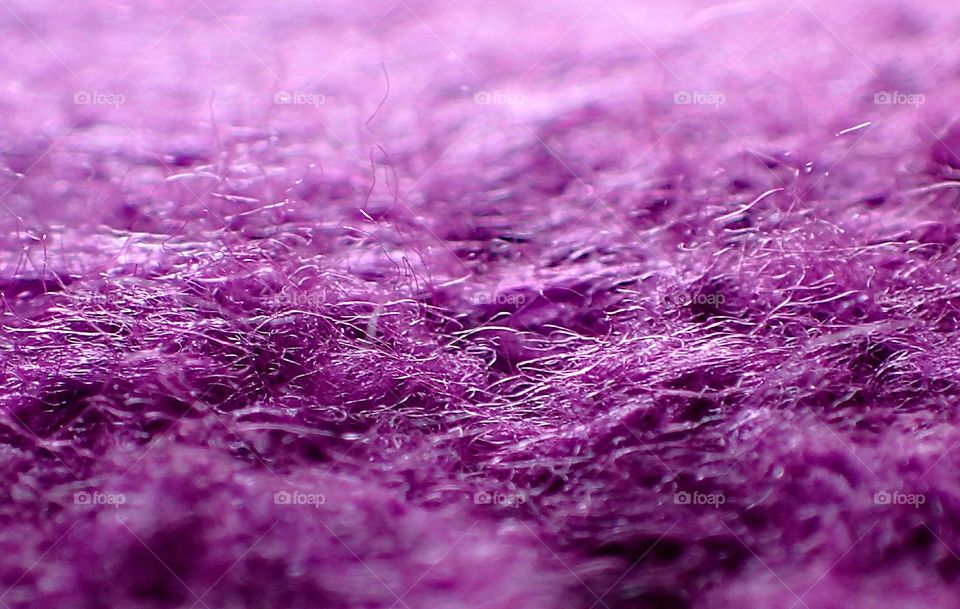 Closeup of purple