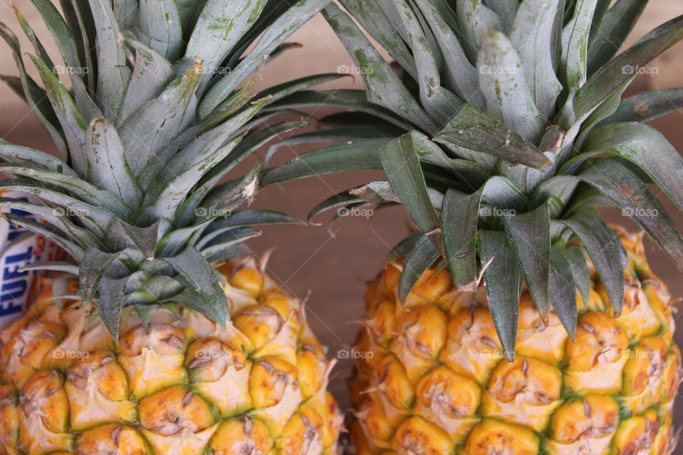 Fresh Pineapple