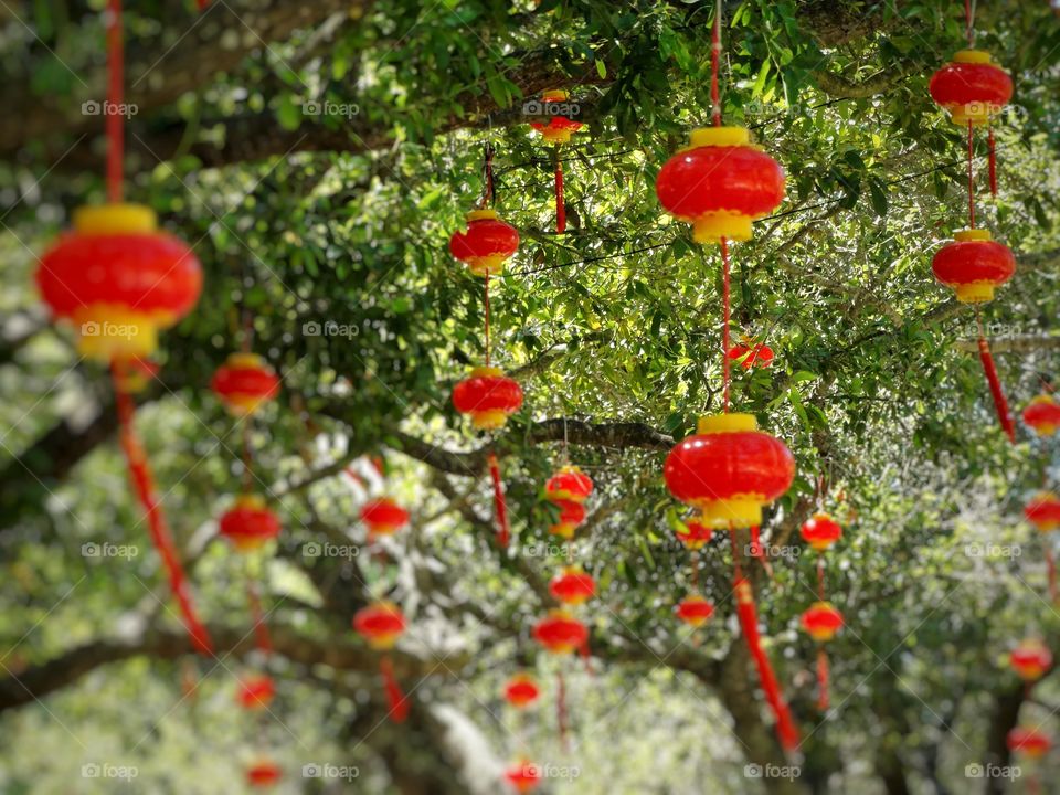 Red Chinese Lanterns