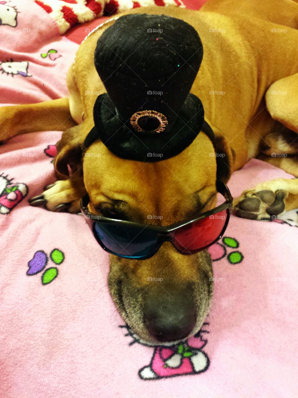 Let's go watch a 3D movie!! Nope, he's not budging