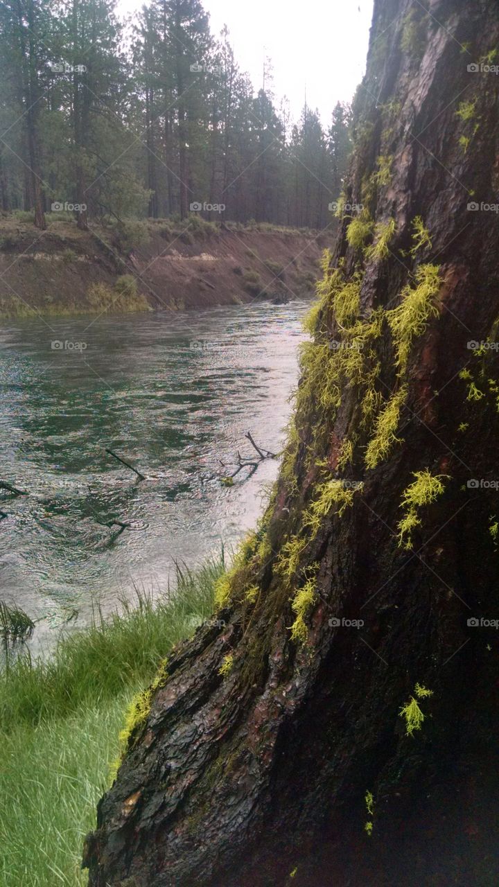 Deschutes River