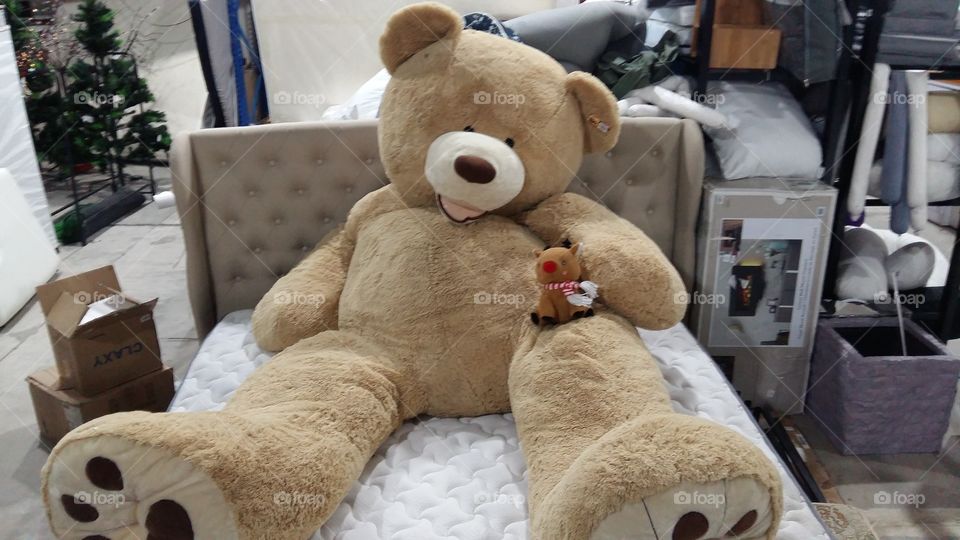 stuffed toy big bear