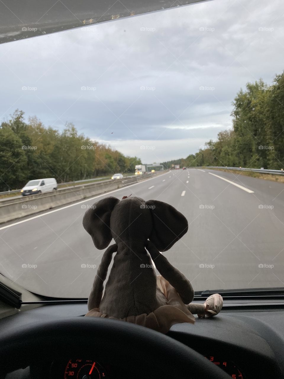 View from a car on the road with a toy elephant sitting on the window